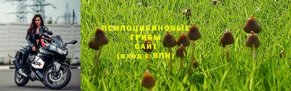 спайс Алзамай