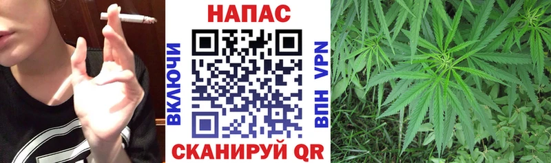 Бошки Шишки тримм Хадыженск